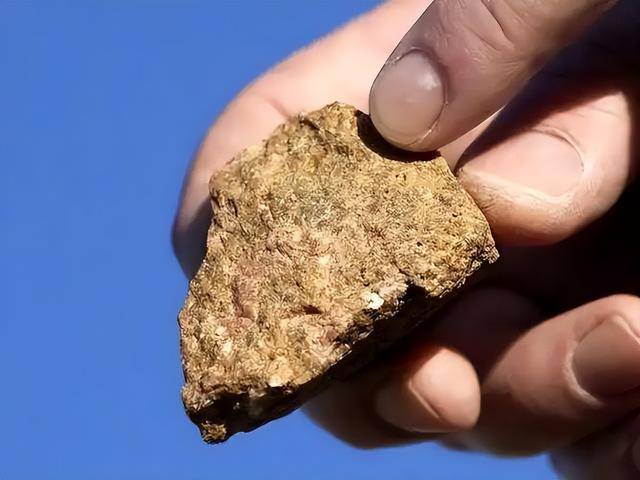 冰球突破豪华版手机版高志凯：中国若真给日